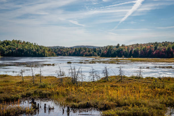 istock Laurentians parks and wildlife reserves 1179684012