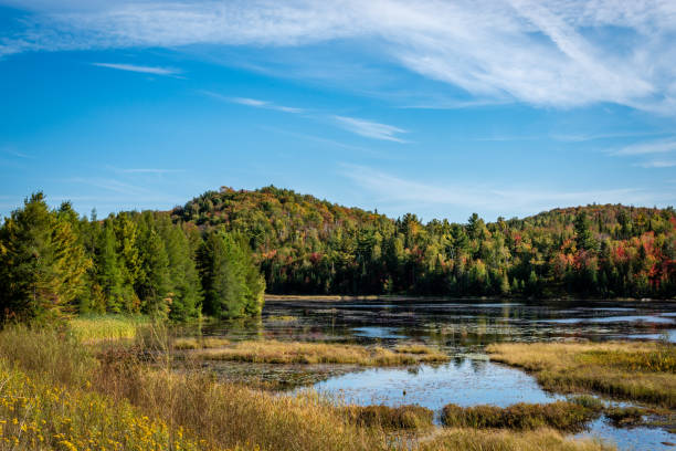 istock Laurentians parks and wildlife reserves 1179684103