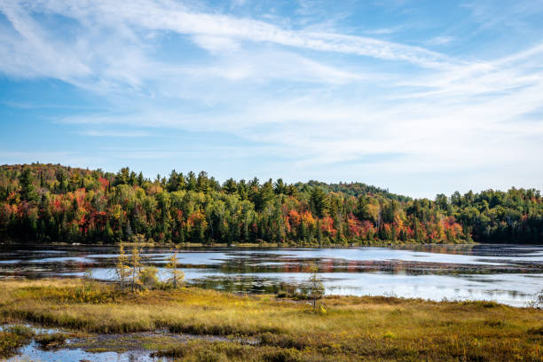 istock Laurentians parks and wildlife reserves 1179684132