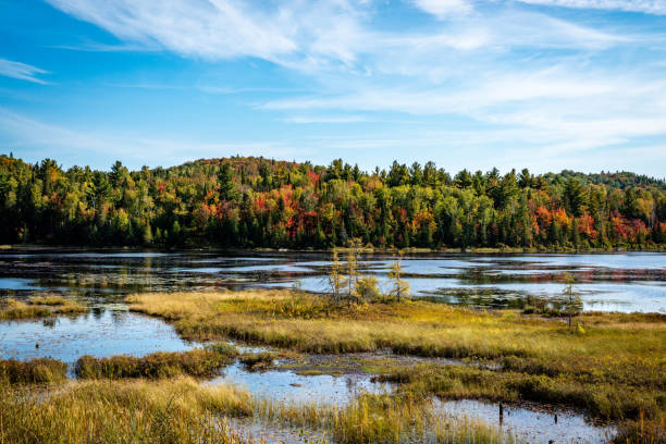 Laurentians parks and wildlife reserves stock photo
