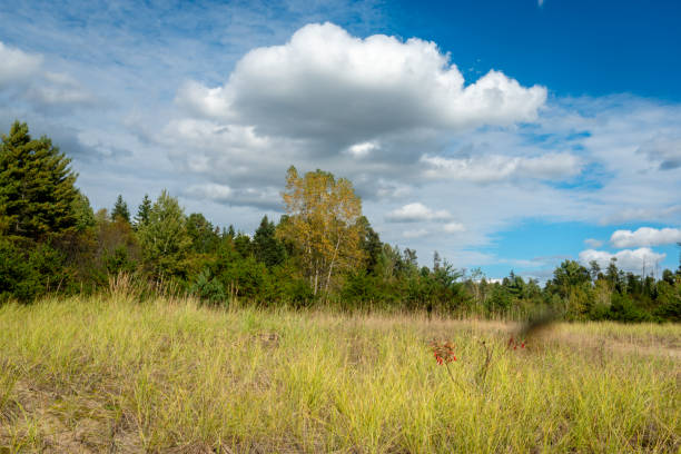istock Laurentians parks and wildlife reserves 1179684849