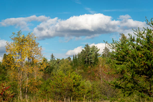 istock Laurentians parks and wildlife reserves 1179685762