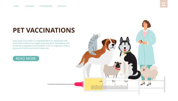 strona docelowa szczepień zwierząt domowych - veterinary medicine illustrations stock illustrations