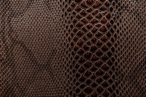 istock Real leather or artificial with a texture of reptile 1179693956