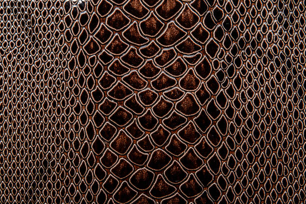 istock Real leather or artificial with a texture of reptile 1179693977