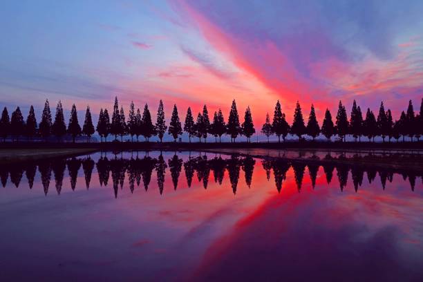 Metheshequaia-gil and Sunrise at Bamboo Village in Changwon City, Gyeongnam