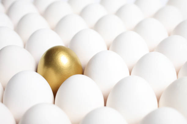 istock Gold Egg Standing Out from a Crowd of Ordinary Eggs 1179695916