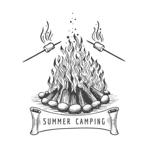 illustrations, cliparts, dessins animés et icônes de torréfaction de guimauve sur le feu de camp - roasted