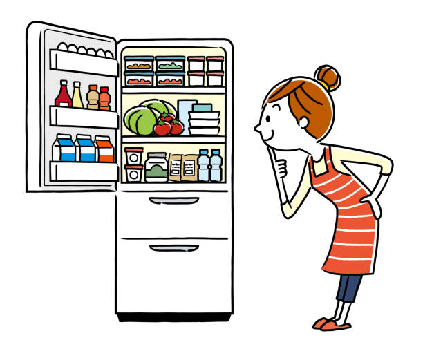 일러스트 자료: 주부 와 냉장고 - stereotypical housewife stock illustrations
