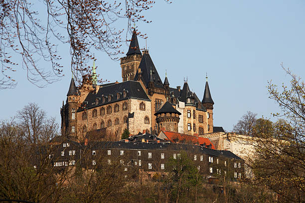 Wernigerode Castle stock photo