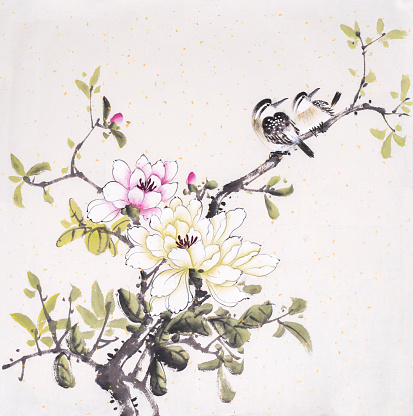 Watercolor branches of pink magnolia and birds,Traditional chinese ink painting