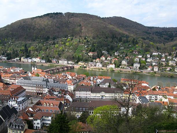 istock Heidelberg am Neckar 117971023