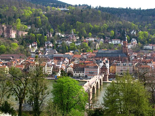 istock Heidelberg am Neckar 117971127