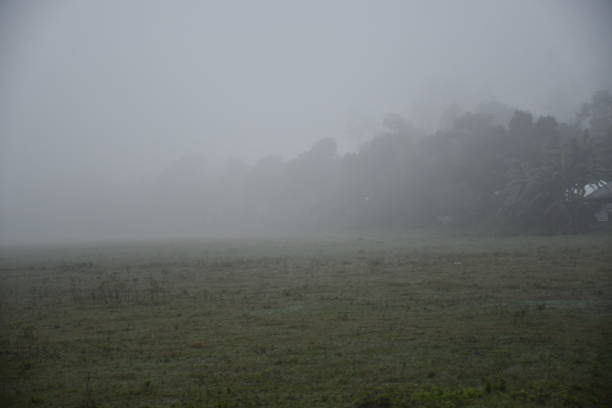 istock Village Misty morning 1179711745