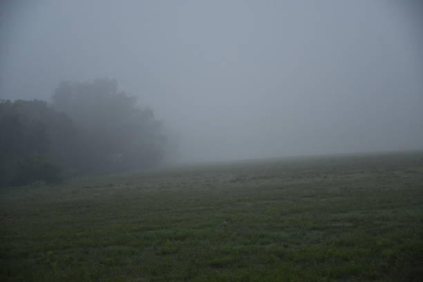 istock Village Misty morning 1179712254