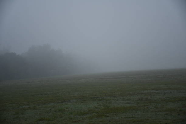 istock Village Misty morning 1179712255