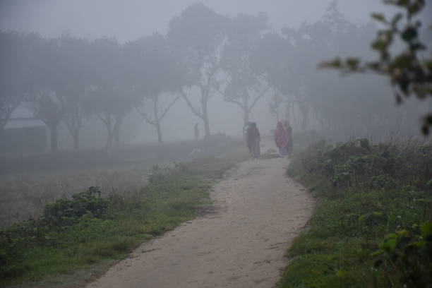 istock Village Misty morning 1179712316