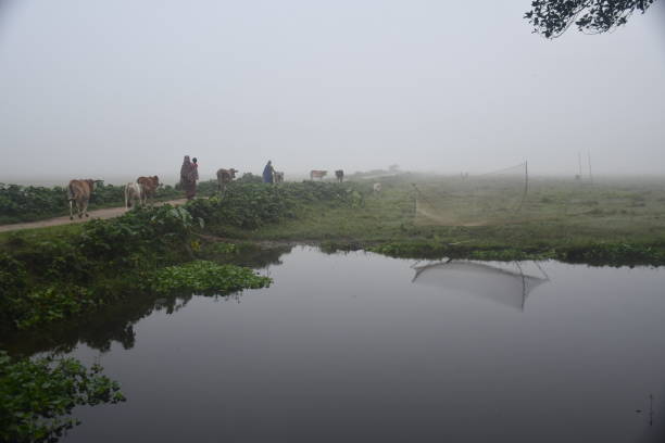 istock Village Fishing Trap 1179713567