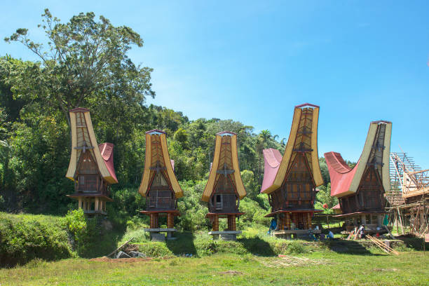 istock Traditional Alang rice barn, Rantepao 1179715053