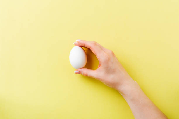istock Female hand holds one white raw chicken egg lying on yellow light background. Top view. 1179715203