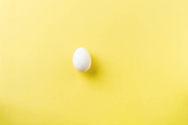 istock White raw chicken eggs lying on light concrete background. Top view. 1179715308