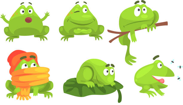 다른 활동 세트의 귀여운 녹색 개구리 만화 캐릭터 다양한 감정 벡터 일러스트 와 재미 수륙 양용 동물 개구리에 대한 스톡 벡터 아트 및  기타 이미지 - Istock