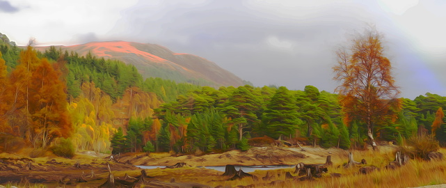 On the edge of Loch Affric, pictural effect