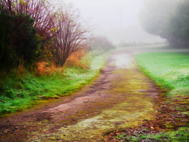 At Lochend, around Loch Ness, pictural effect