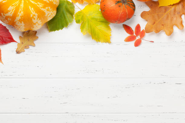 istock Autumn background with colorful leaves 1179716661