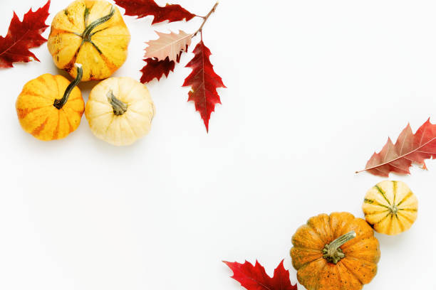istock Autumn holidays background with copy space for a greeting text 1179718257