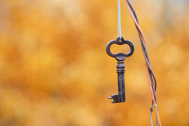istock Vintage lost key hanging on a string on a tree branch on autumn nature background 1179718303