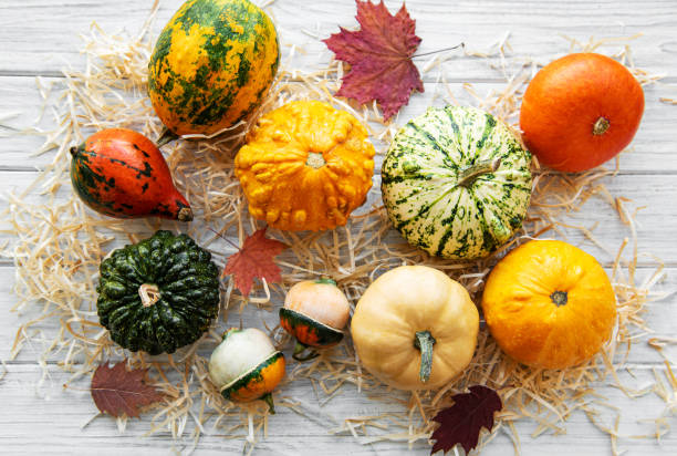 istock Pumpkins on a wooden table 1179719851