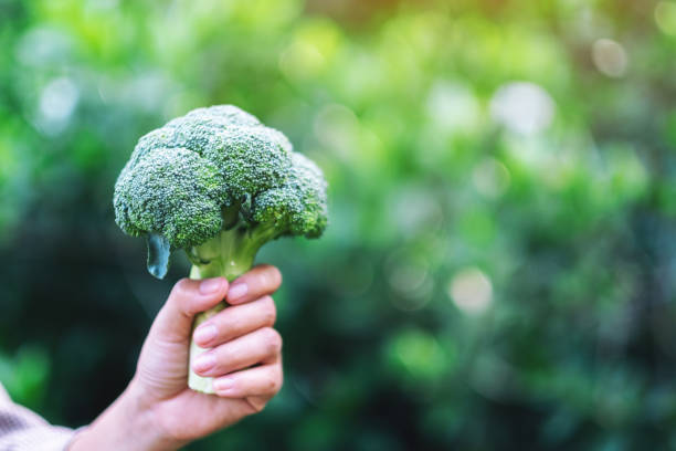 istock a woman holding a green broccoli 1179722092