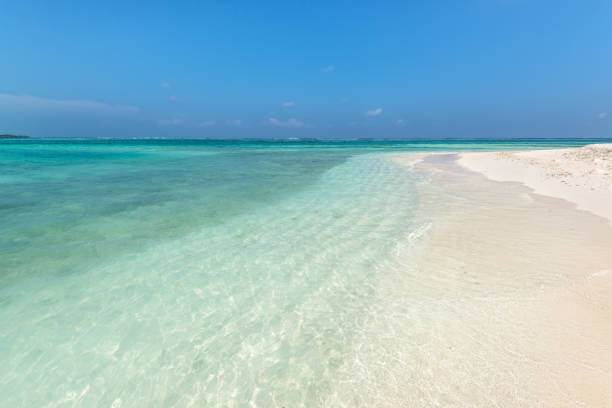 istock Tropical empty wild beach in Maldives, Indian Ocean 1179723258