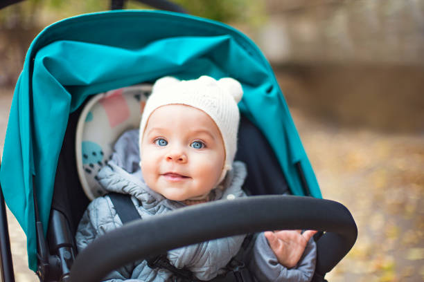 bebê bonito feliz em um carrinho de criança que olha para fora e que ri no parque - child autumn nature human face - fotografias e filmes do acervo