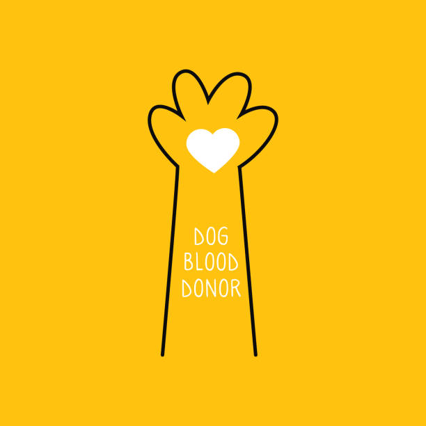 ilustrações de stock, clip art, desenhos animados e ícones de dog donor concept. blood donation. veterinarian banner. pet help - blood bank