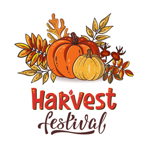 Harvest Festival poster template Harvest Festival hand drawn lettering and typographic text with decorative pumpkins. Harvest symbols. Autumn harvest fest design for banner, poster, cards, tags. Isolated vector illustration harvest festival stock illustrations