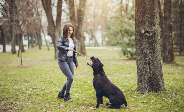 istock Woman playing with her dog 1179731619