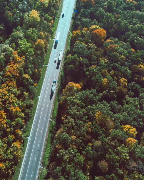 istock aerial view of autumn highway in forest copy space 1179731655