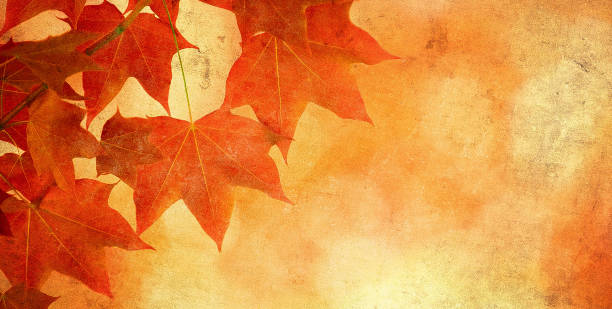 istock grunge background with autumn leaves 1179731706