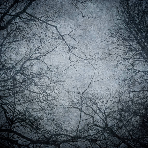 Grunge image of tree silhouettes. Perfect halloween background.