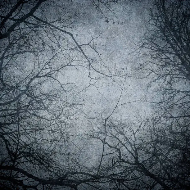 Photo of Grunge image of tree silhouettes. Perfect halloween background.