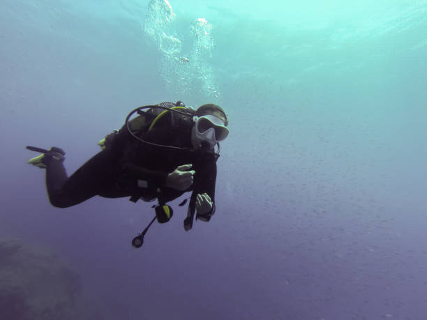 istock Young female scuba diver in Atlantic ocean. 1179736765