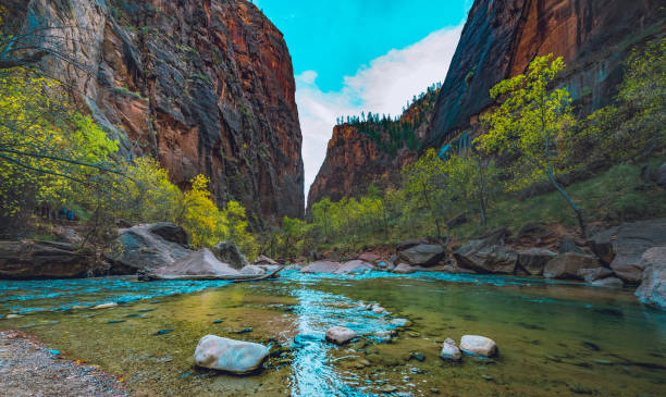 Virgin River The Virgin River running through high peaks in Zion National Park, Utah, USA. zion river stock pictures, royalty-free photos & images