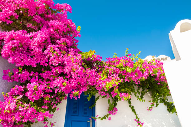 istock Santorini island, Greece. 1179740246