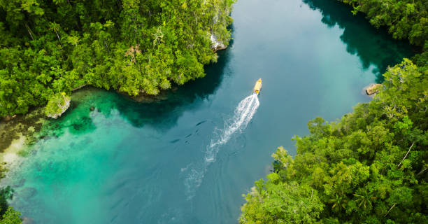 istock Island style cruise 1179741600