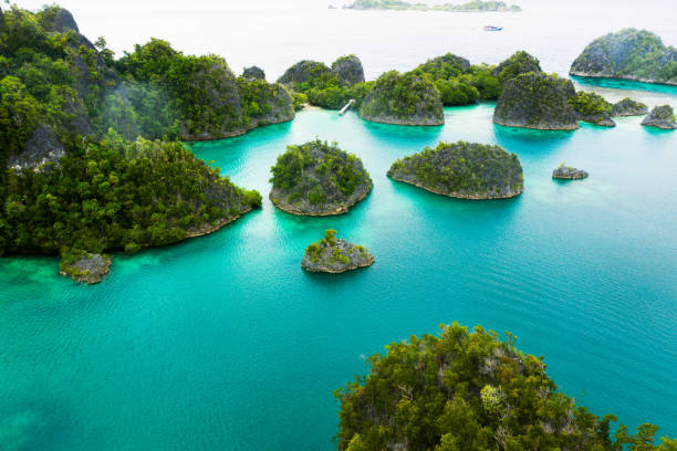 quoi de mieux qu'une île ? - archipel raja ampat photos et images de collection