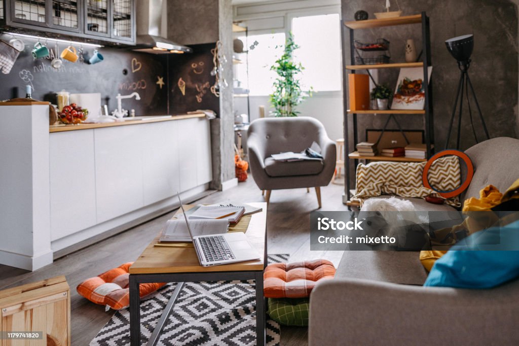 Can't wait someone take me for a walk Cute Maltese dog lying on sofa in modern apartment and waiting for owner Small Stock Photo