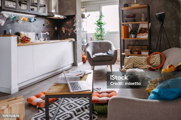 Cant Wait Someone Take Me For A Walk Stock Photo - Download Image Now - Small, Apartment, Living Room