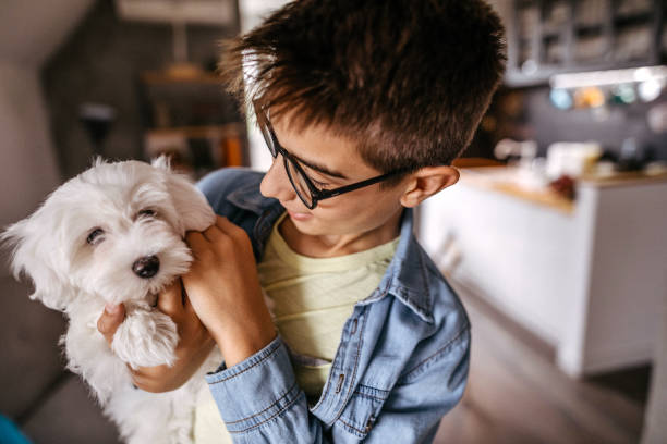 istock Being gentle with my pet 1179741844